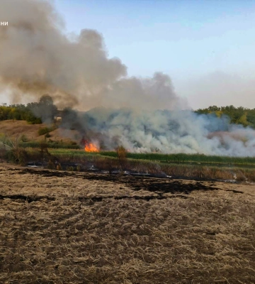 На Черкащині продовжує горіти рослинність (ФОТО)