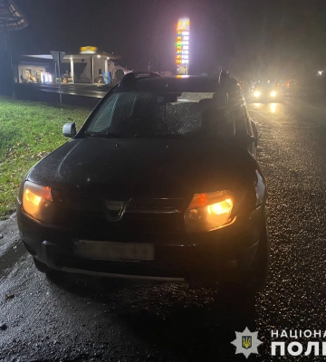 Біля Львова загинув пішохід