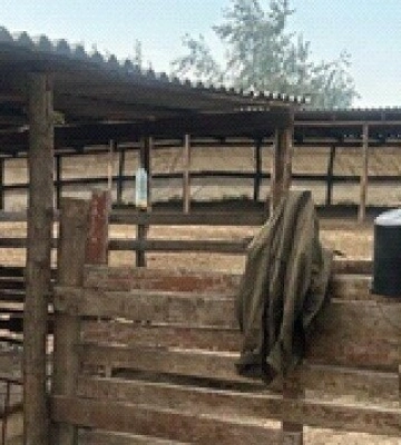 На Одещині судитимуть чоловіка за незаконне будівництво на самовільно зайнятій земельній ділянці