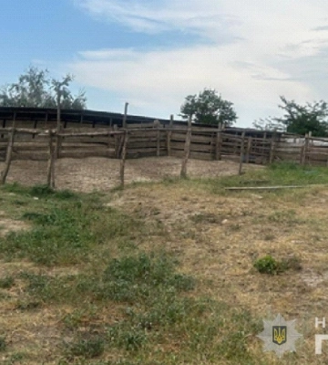 Мешканець Болградського району побудував господарські споруди для худоби у прикордонній зоні
