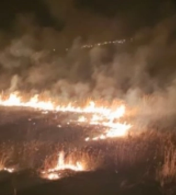 На Миколаївщині за добу сталося п&#039;ять пожеж