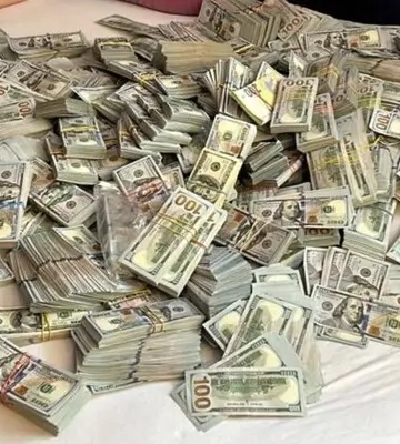 В голови МСЕК у Хмельницькій області знайшли  майже 6 мільйонів доларів готівкою у різній валюті
