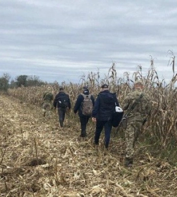 На Закарпатті троє чоловіків намагалися потрапити в Угорщину через кукурудзу