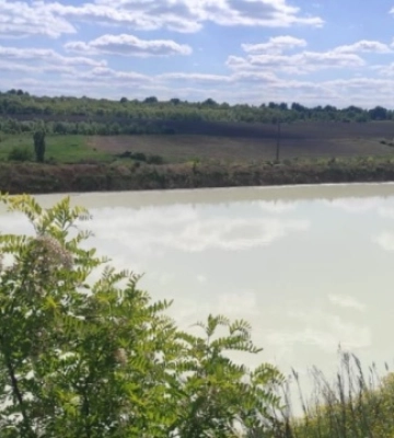 На Кіровоградщині підприємство забруднило відходами молокопродуктів понад 8000 м² землі
