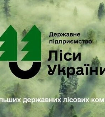 АМКУ викрив змову на закупівлі бирок для деревини держпідприємством "Ліси України" на 90 мільйонів