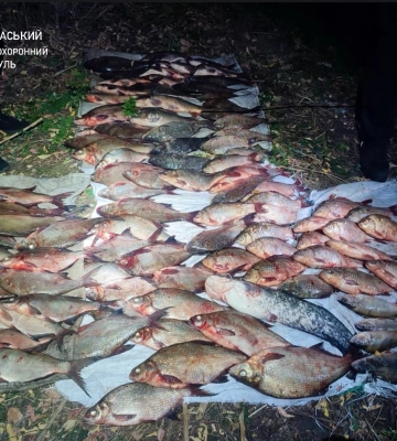 На Черкащині незаконно виловили риби на майже мільйон гривень