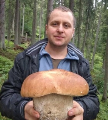 Лісівник Рахівщини знайшов велетенського гриба