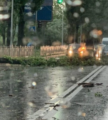 У Києві через негоду впали дерева та пошкодилися лінії електропередач