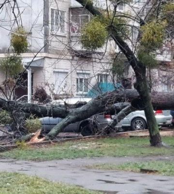 Майже пів сотні населених пунктів на Київщині залишися без світла
