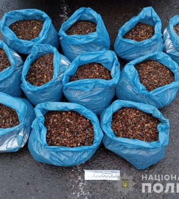 На волинському блокпосту затримали Toyota із мішками бурштину