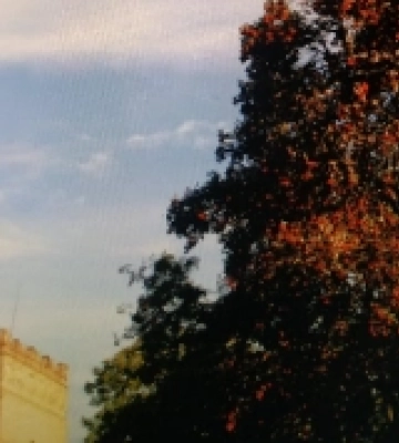 Осінньо-містичний Луцьк на світлинах волинського фотографа