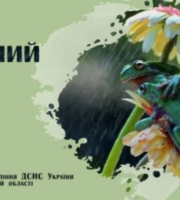 У Закарпатській області в найближчу годину очікуються сильні грози
