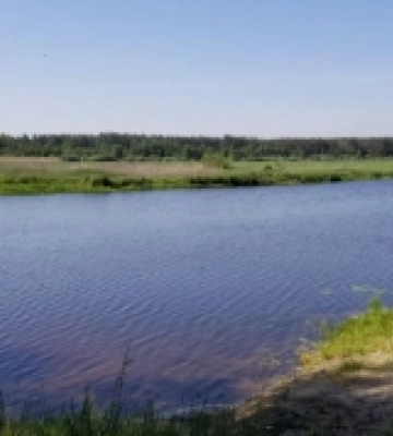 Сарненські водойми є одними з найбільш забруднених в області