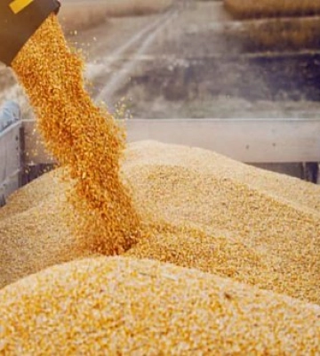 С одесских портов отправился еще один караван с агропродукцией