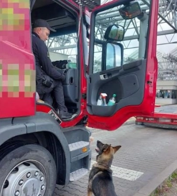 В «Устилузі» натренований пес виявив у водія вантажівки наркотики