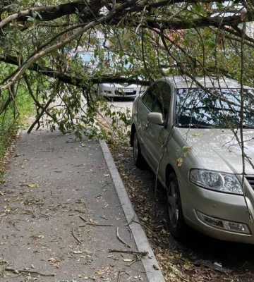 Ураганний вітер вночі наробив лиха в Києві (фото, відео)