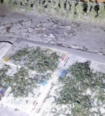 У Рівненському районі викрили конопляний бізнес