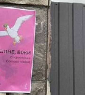 &quot;Кримські бойові чайки&quot;: на півострові почав діяти новий рух опору