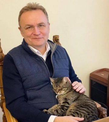 Проживающий в мэрии Львова кот прошелся по столу Садового и посидел на его кресле. Видео