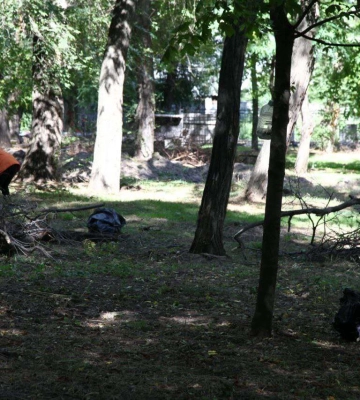 Чому реконструкція Севастопольського парку у Дніпрі поставлена на паузу 