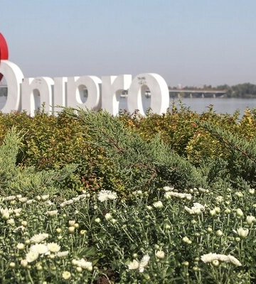 Одну з центральних вулиць Дніпра перейменували в честь Бандери