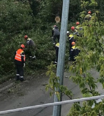 Після нічної негоди без світла на Київщині повністю залишаються 15 населених пунктів