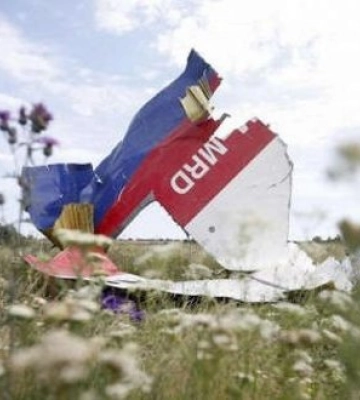 У справі MH17 відбулося останнє засідання. Вирок буде 17 листопада