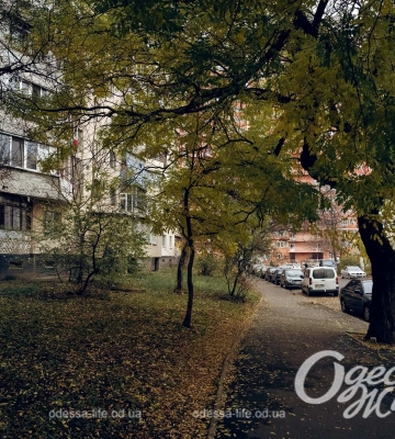 Какая погода ожидается в Одессе в пятницу, 23 сентября?