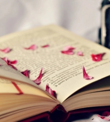 На Вінниччині виходить книга про легендарного повстанця Володимира Вовкодава