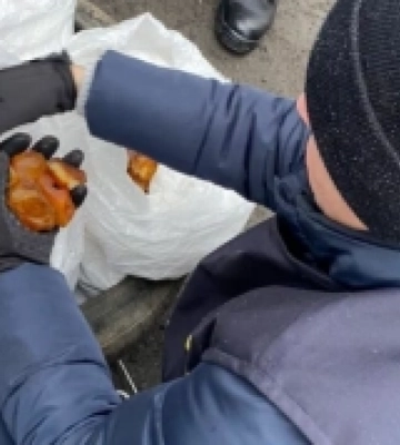 Дубровиччина: колишній сільський голова проведе 4 роки за гратами за незаконні оборудки з бурштином