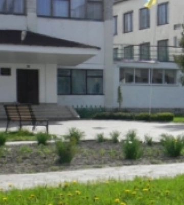 Старовижівський професійний ліцей передають у комунальну власність