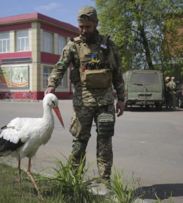 Україна впевнено крокує до перемоги, як на військовому, так і на мовному фронті