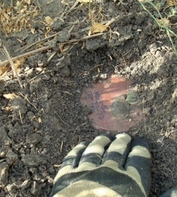 На Харківщині двоє чоловіків підірвалися на мінах, збираючи гриби