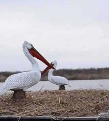 На Одещині встановили штучних птахів