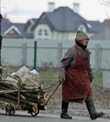 Мешканців села під Хмельницьким закликали збирати сухостій для обігріву взимку