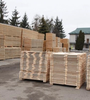 Лісгоспи Львівщини змушені опускати ціни на готову продукцію: які причини