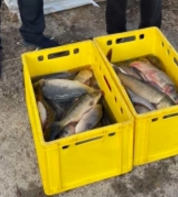 Підприємець із Камінь-Каширського району передав військовим рибу
