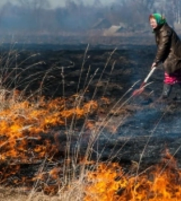 На Волині склали найбільше протоколів на паліїв трави