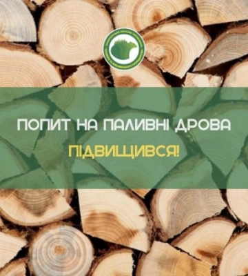 Закарпатцям нагадали, де і як купити дрова