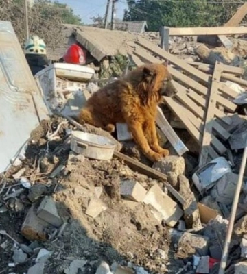 Що зараз з постраждалими внаслідок ракетного удару по Дніпру