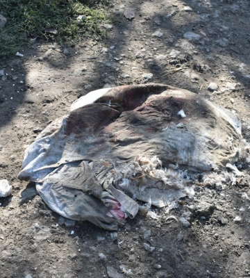 Ракетний удар, обстріли, загиблі та понад два десятки поранених. Всі подробиці 218-й доби війни на Дніпропетровщині