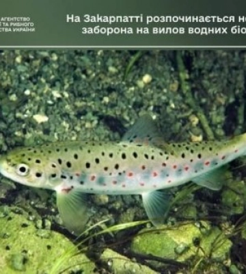 На Закарпатті розпочинається нерестова заборона на вилов водних біоресурсів