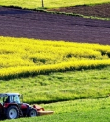 Найдорожчу на Львівщині земельну ділянку продали у гірському селі