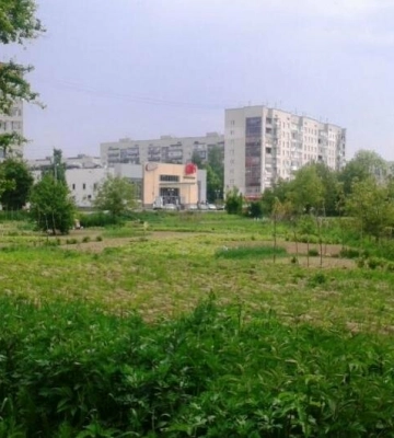 Ще 5 земельних ділянок у Львові мають виставити для продажу через аукціон: перелік