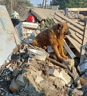 Ракетні удари по Дніпру: що кажуть в Міноборони РФ