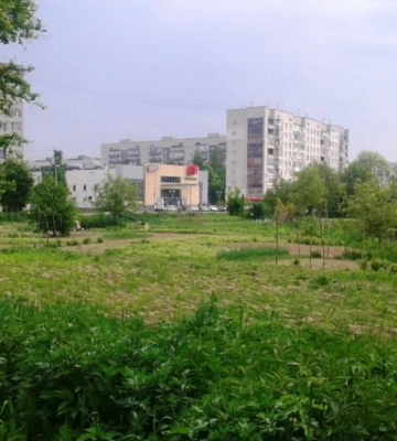 У Львові ще пʼять земельних ділянок продадуть із аукціону