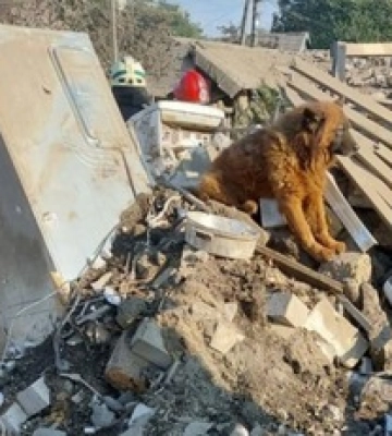 У мережі показали фото дітей, які загинули під час ракетного удару по Дніпру