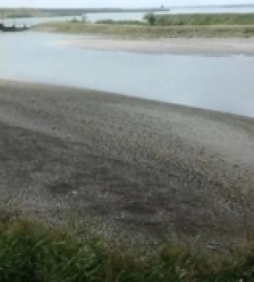 У придунайських озерах на Одещині критично впав рівень води