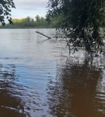 Річки Закарпаття, почали виходити з берегів, але ситуація не критична