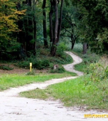 У Луцьку в парку 900-річчя в чоловіка вкрали сумку з грошима